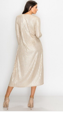 Load image into Gallery viewer, Shimmer Cardigan/Dress Set