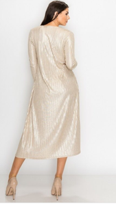 Shimmer Cardigan/Dress Set